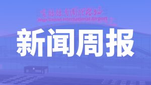 金鸽新闻周报-一期